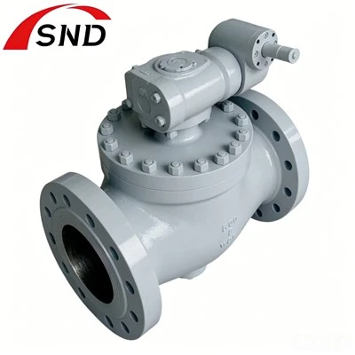 Swing Check Valves